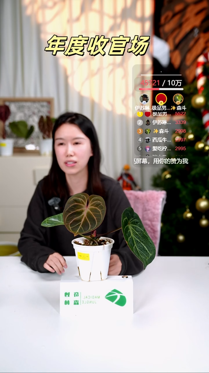 完全开放奇妙森林精选KOS