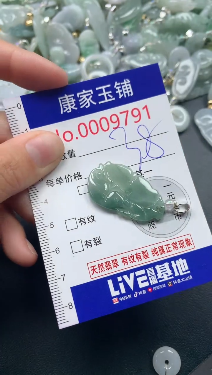 颈饰未镶嵌翡翠9791