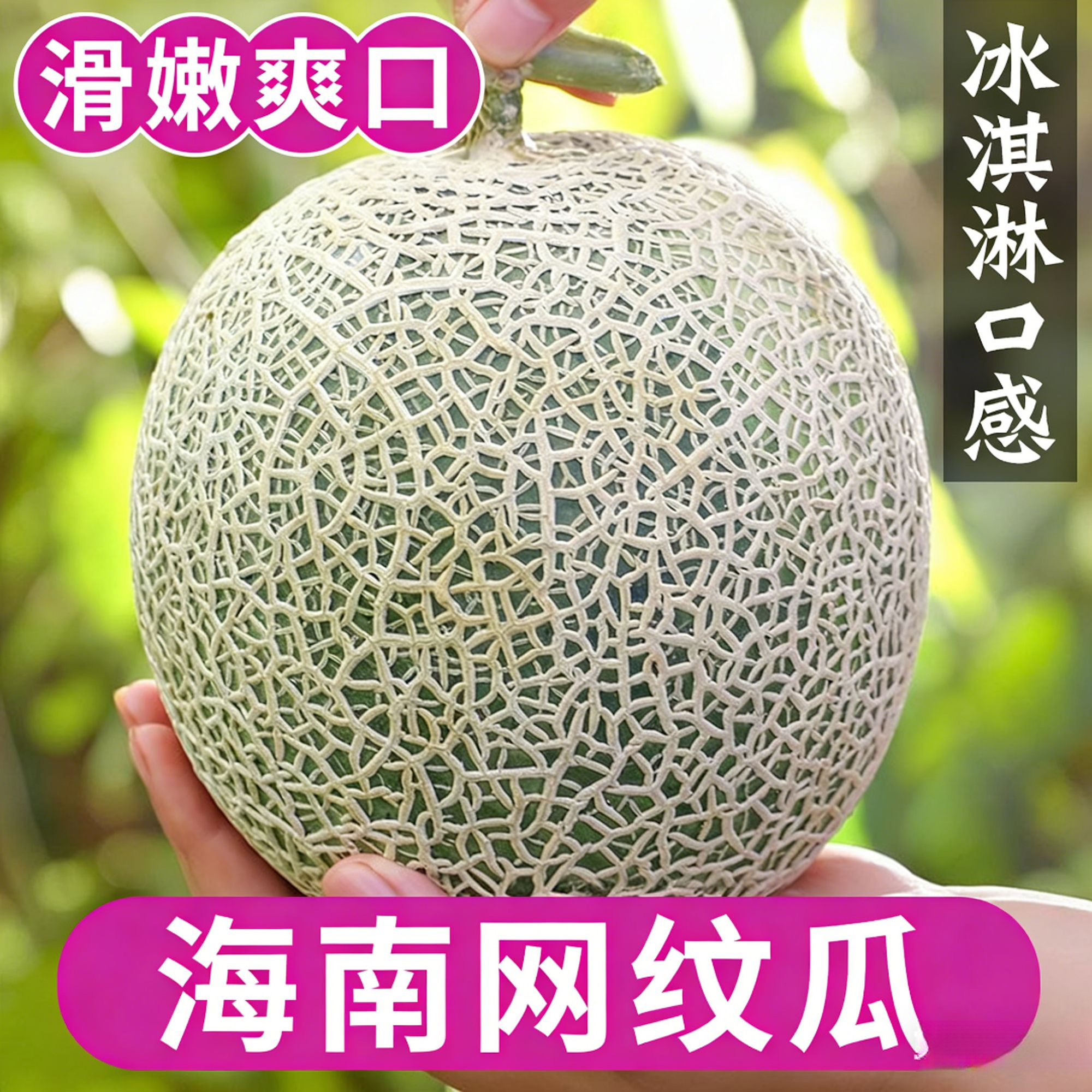 海南冰淇淋网纹瓜甜瓜细腻绵密香甜多汁