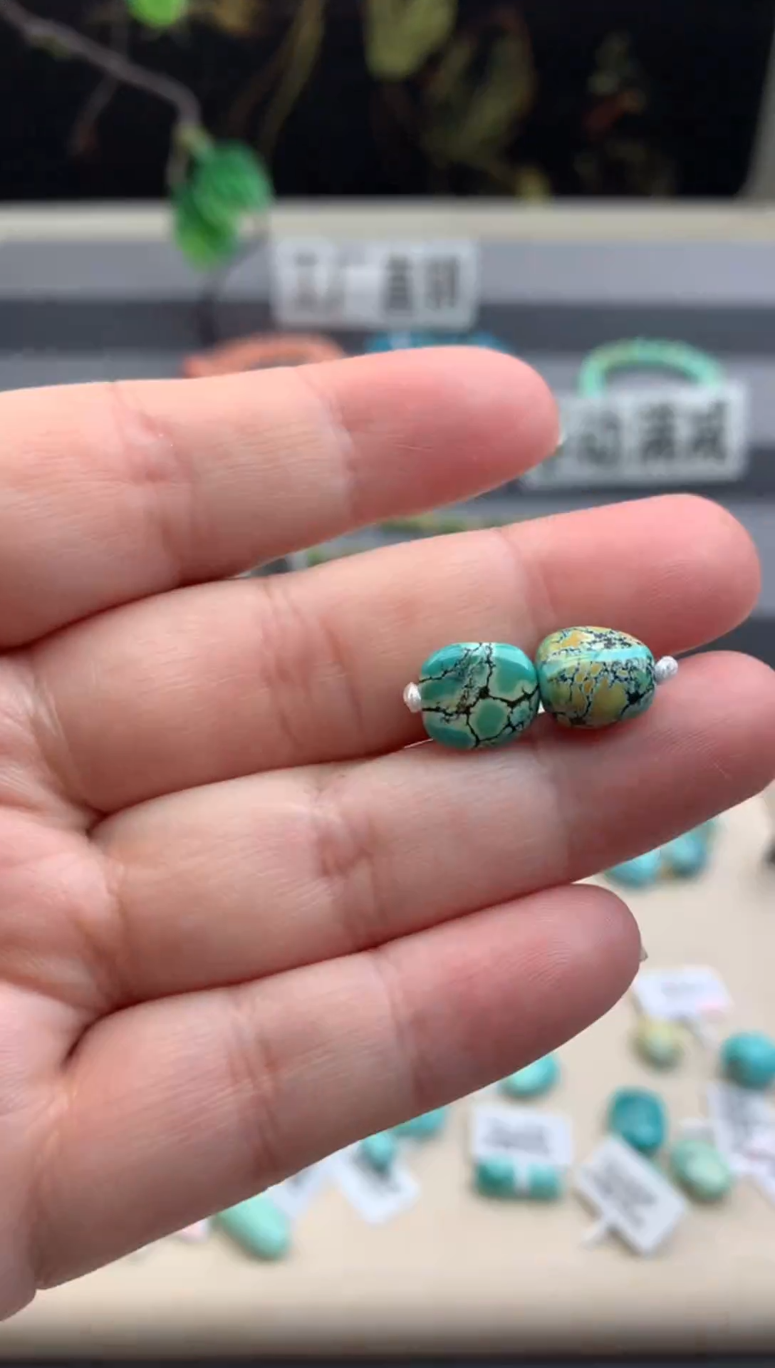 未镶嵌绿松石单珠一对Q53