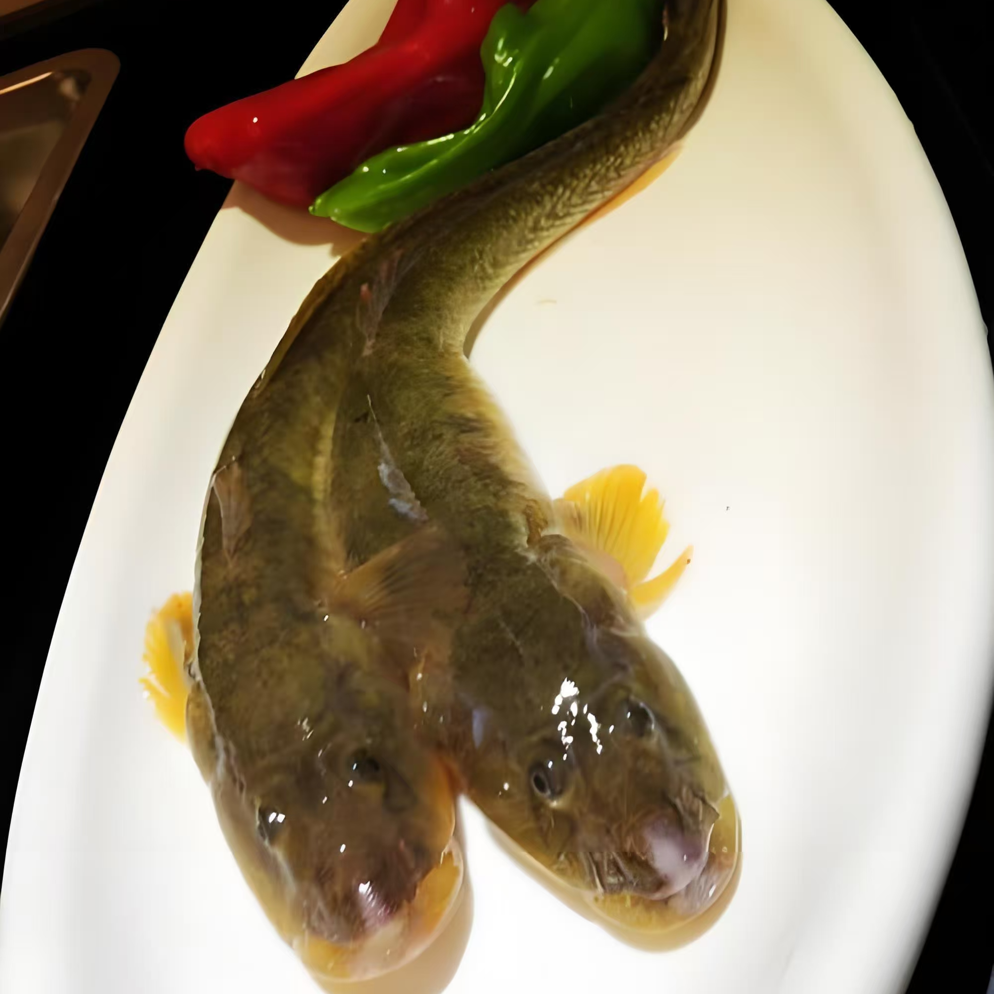 地笼现捕沙光鱼5斤 急冻锁鲜连云港顺丰冷链发货