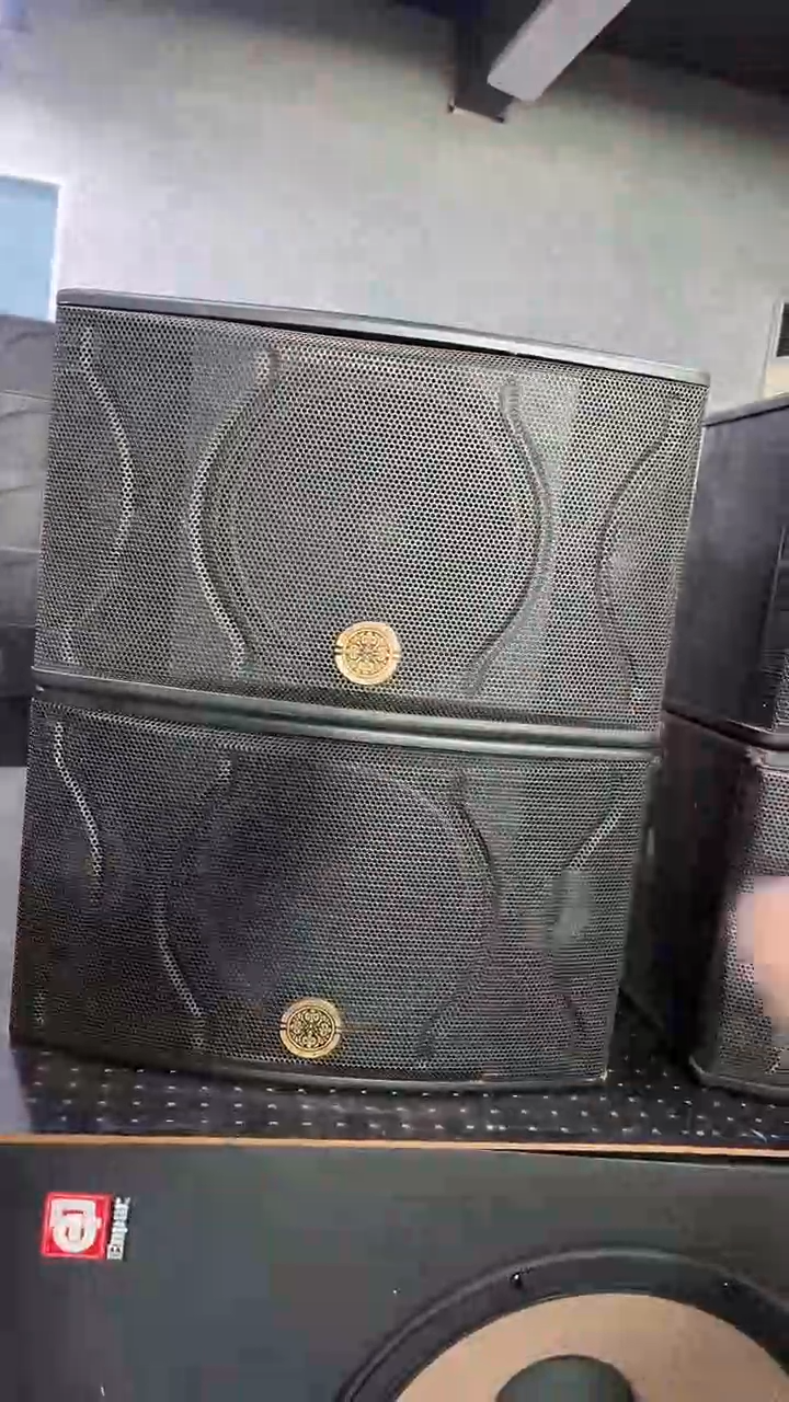 8新不包邮 10寸卡包音响  KTV音箱一对   运费到付