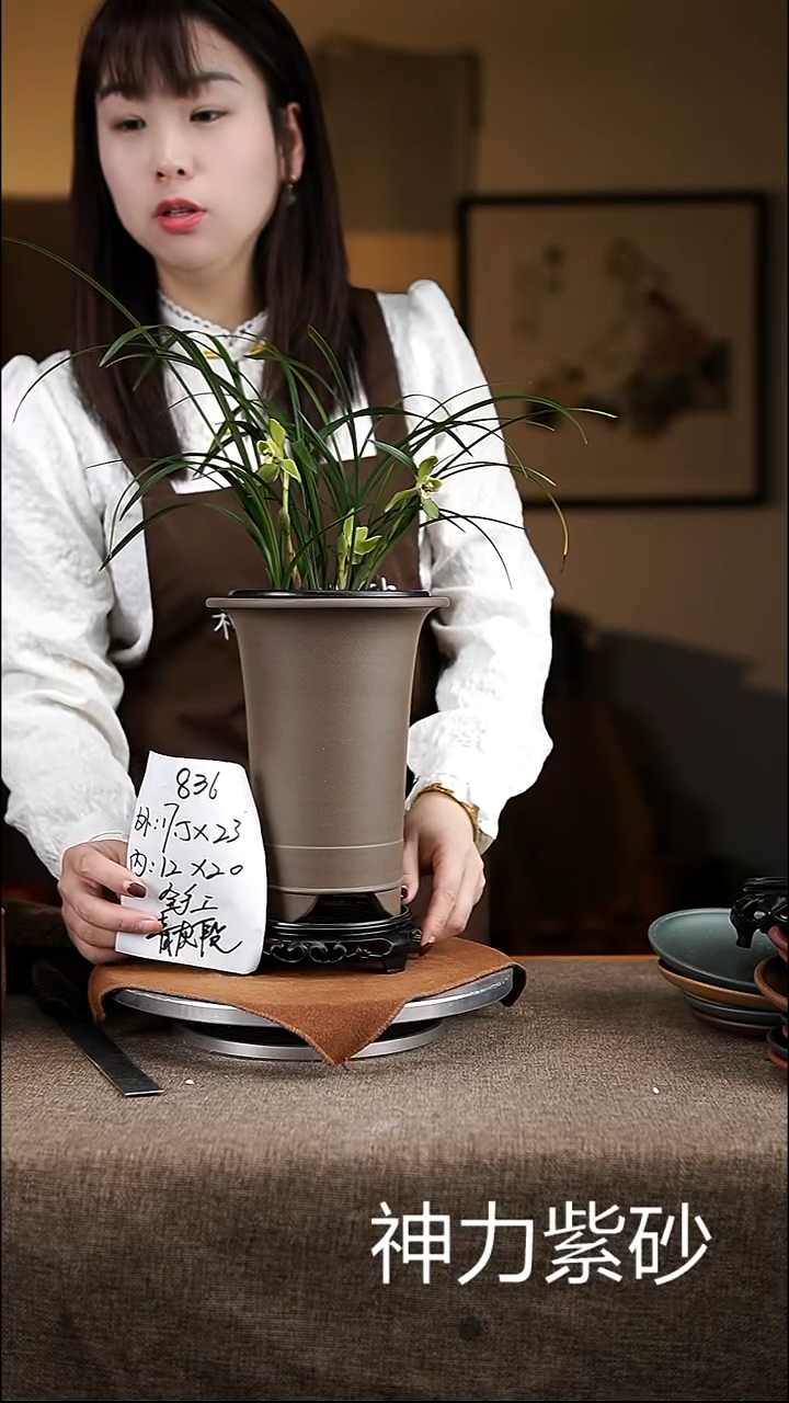 【闪购商品】紫砂花盆紫砂花盆836