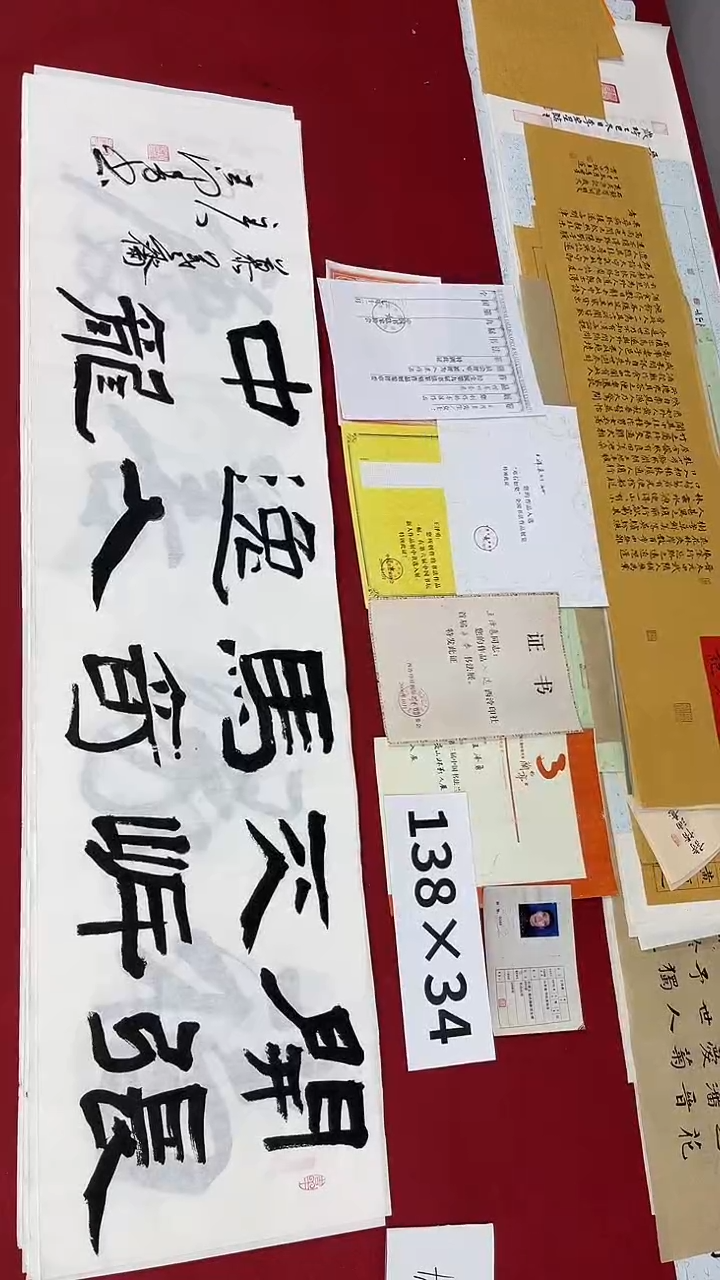 书法王泽勇老师书法作品014