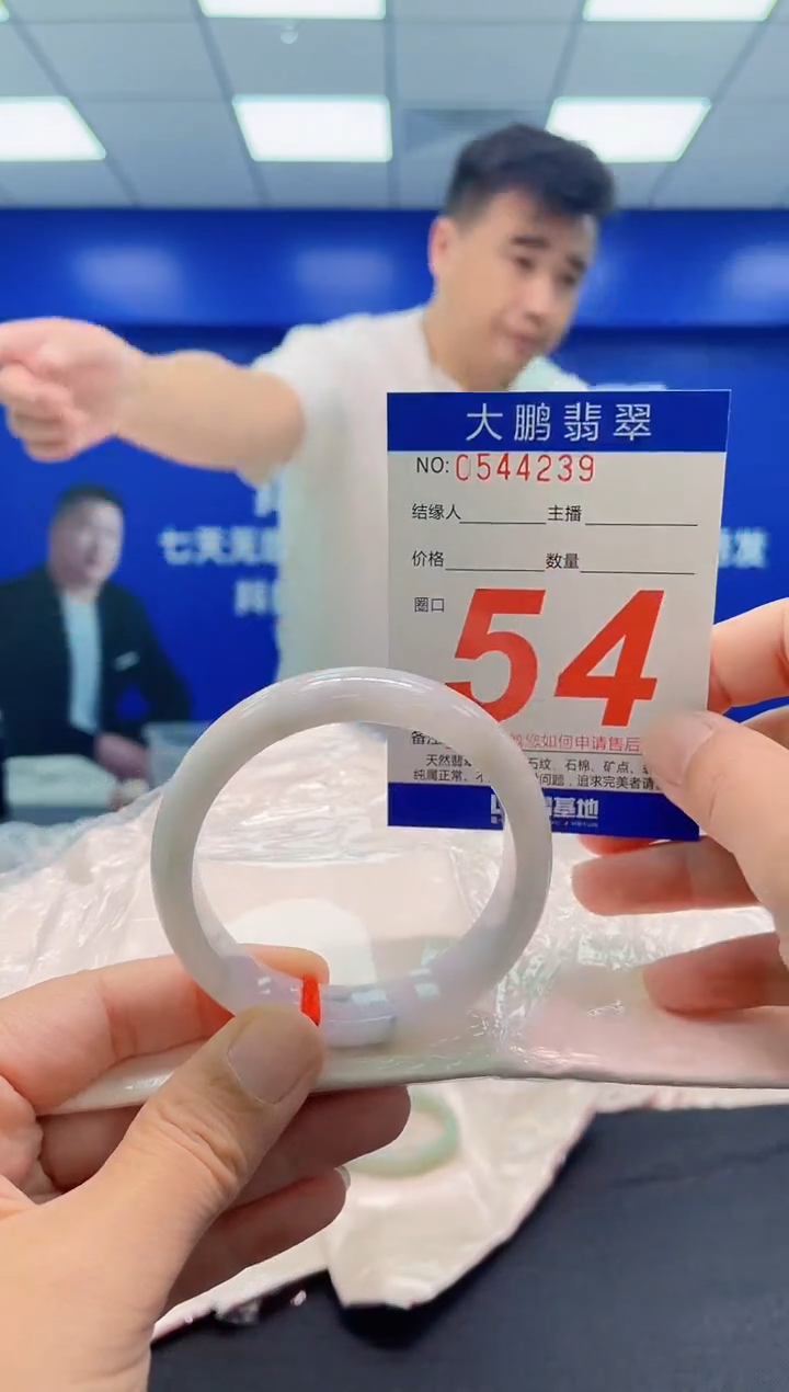 未镶嵌手镯翡翠AAAAAAAAA