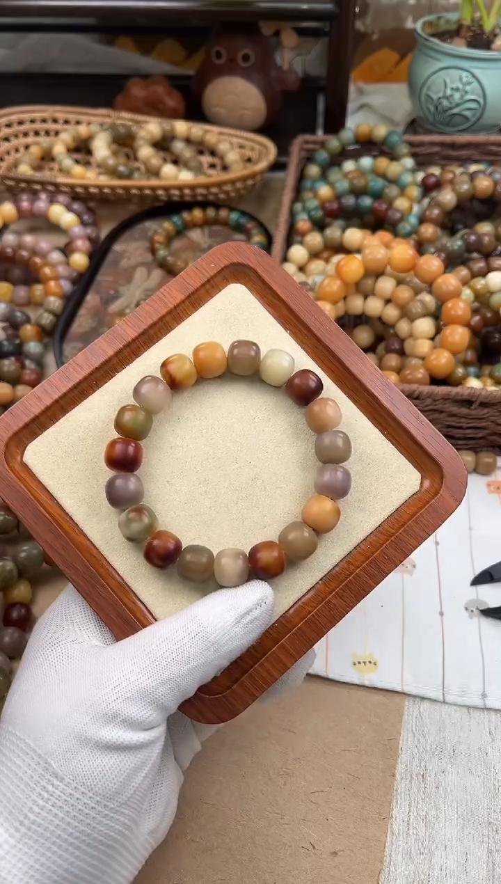 手串菩提根/象牙果a323 卡14 干磨万圣家族孔一般