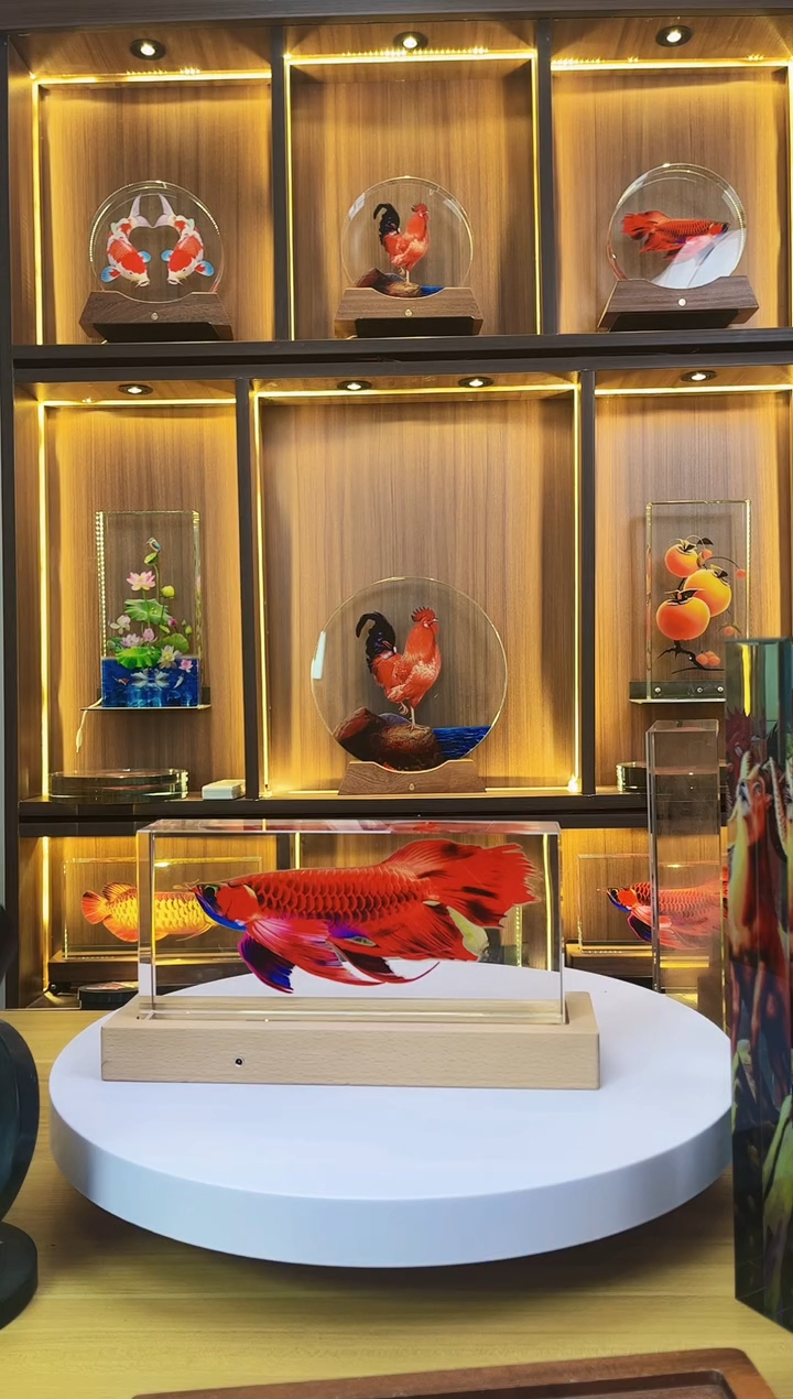 有机玻璃中****。尺寸24*11*5至尊红龙鱼+底座