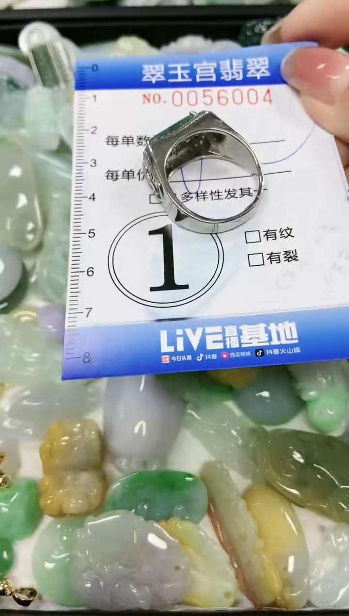 【闪购商品】翡翠颈饰未镶嵌闪购0056004