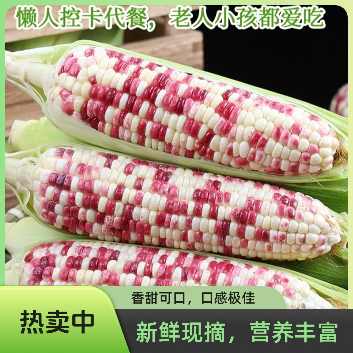 新鲜花糯玉米15根精品大果顺丰包邮 新鲜软糯香甜花糯玉米广西壮族自治区