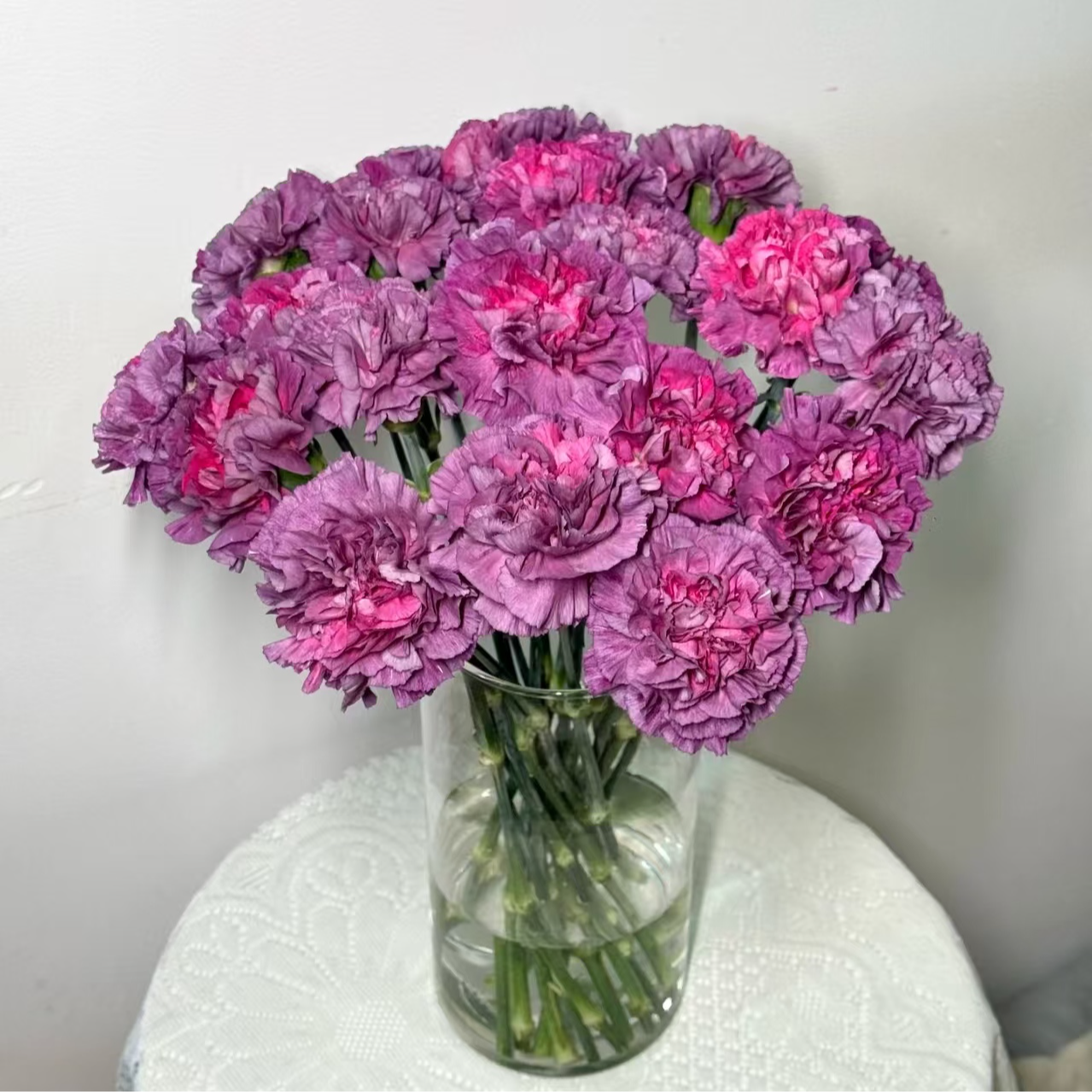 15枝野马单头康乃馨 生花苞要养开  (两单发顺丰或京东快递)