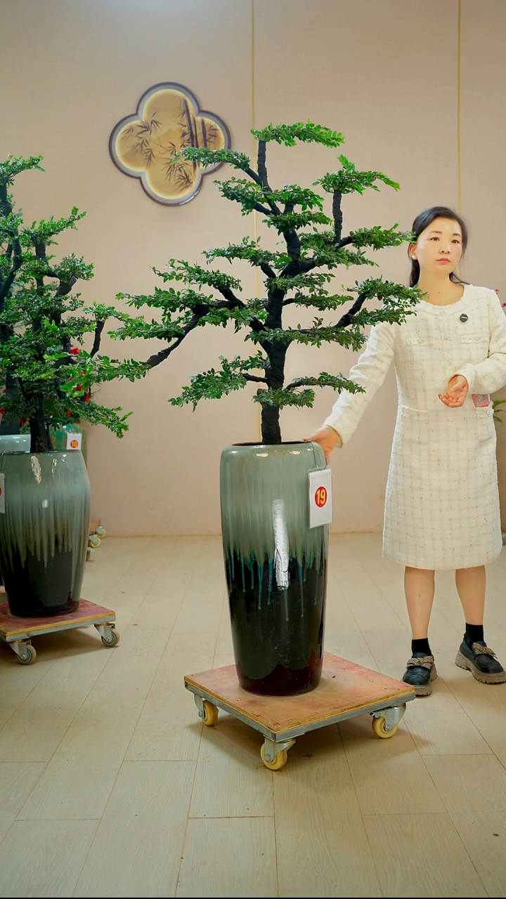 以实际为准海**川【广东小叶紫檀】落地高端盆景绿植四季常青常绿