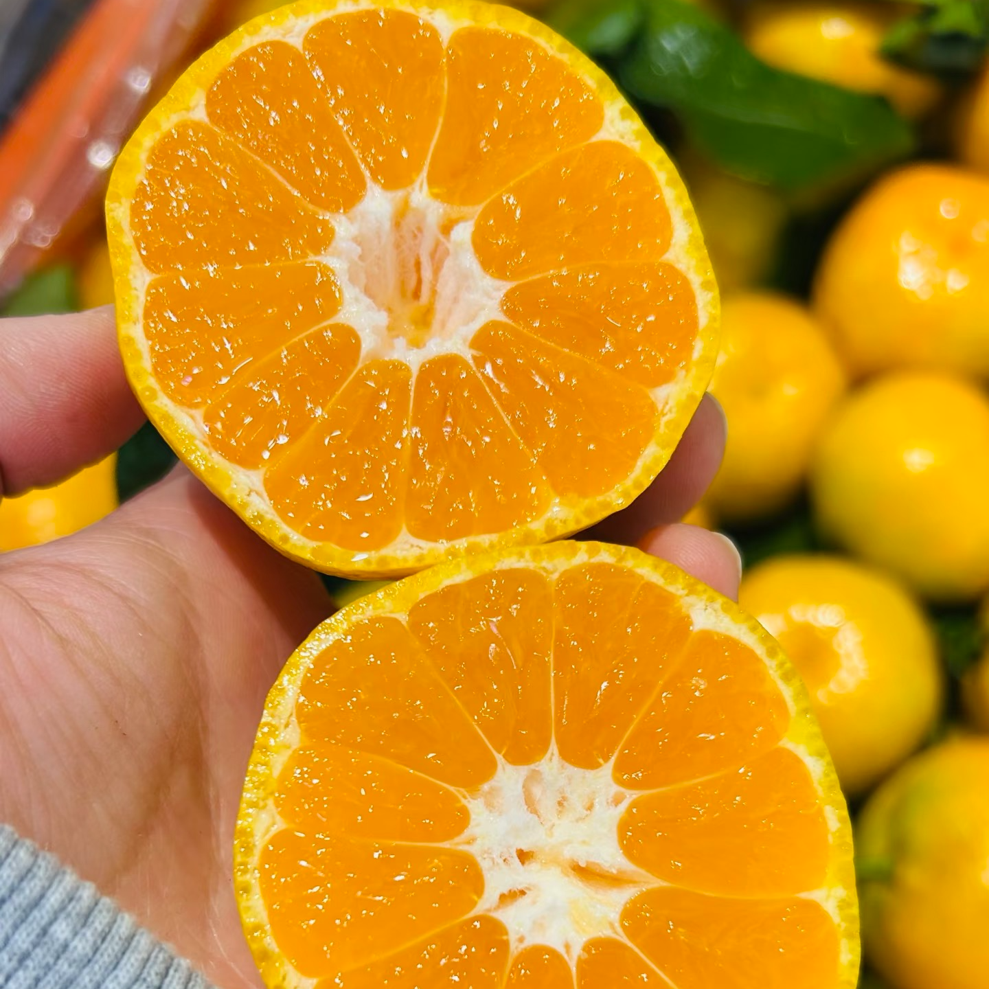 【新上市】小叶桔新鲜桔子当季新鲜水果