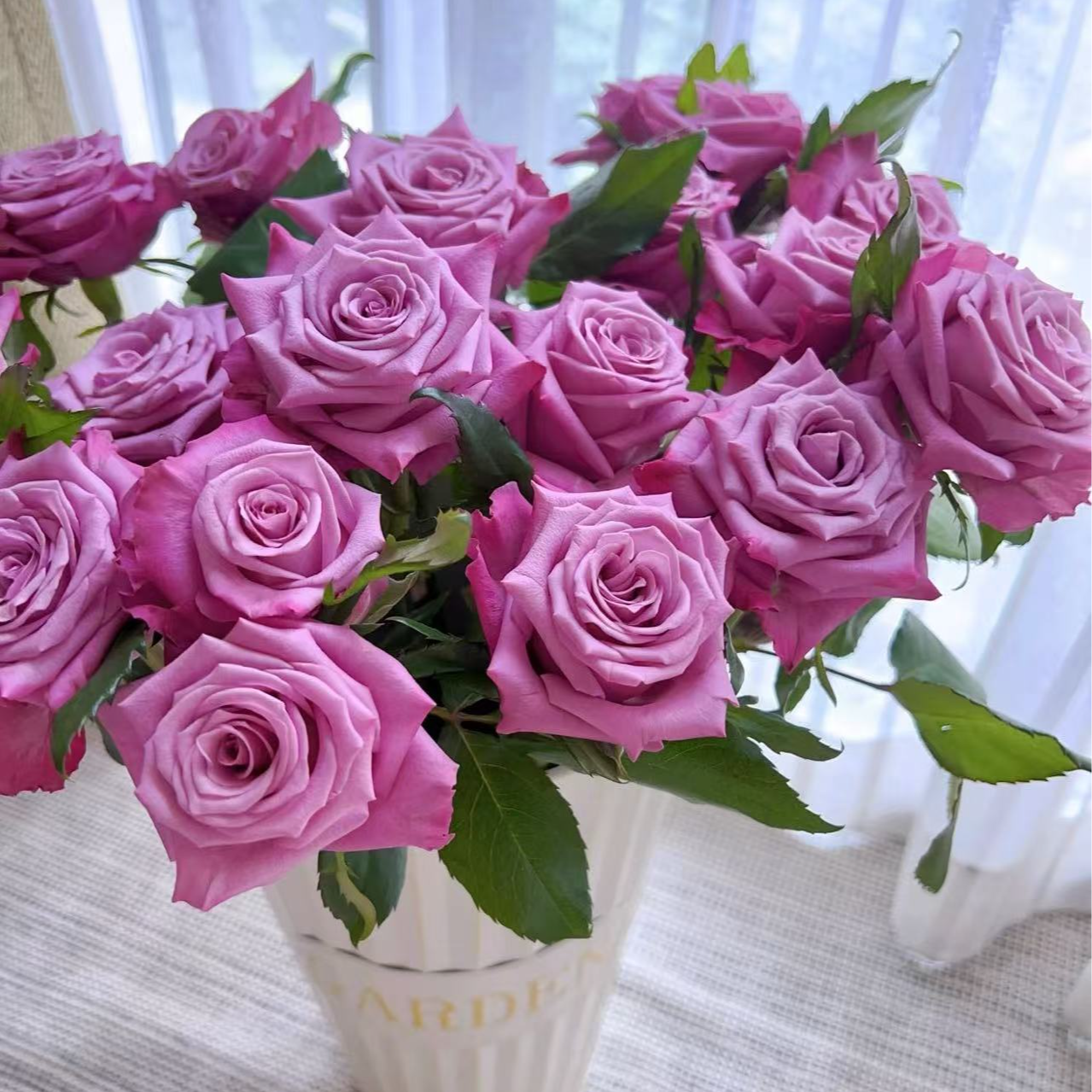 逸禾基地嫣然单头紫色玫瑰鲜花基地直发1单顺丰包邮含保鲜剂