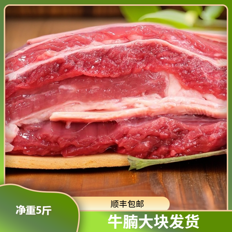 【牛腩净重5斤】大块发货顺丰冷链包邮买3得5年货囤肉必备草饲牛