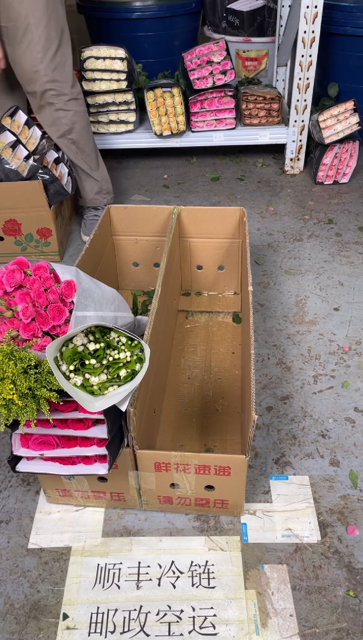 佛洛依德20枝+苏菲10枝+茉莉+绿毛球+黄莺