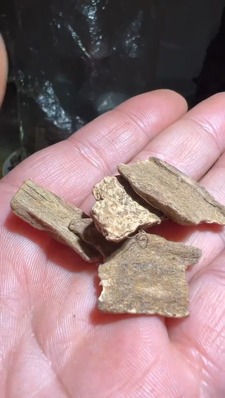 【闪购商品】沉香沉香碎屑斯里兰卡2.2克