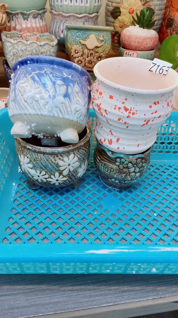 【闪购商品】陶瓷@@Z163