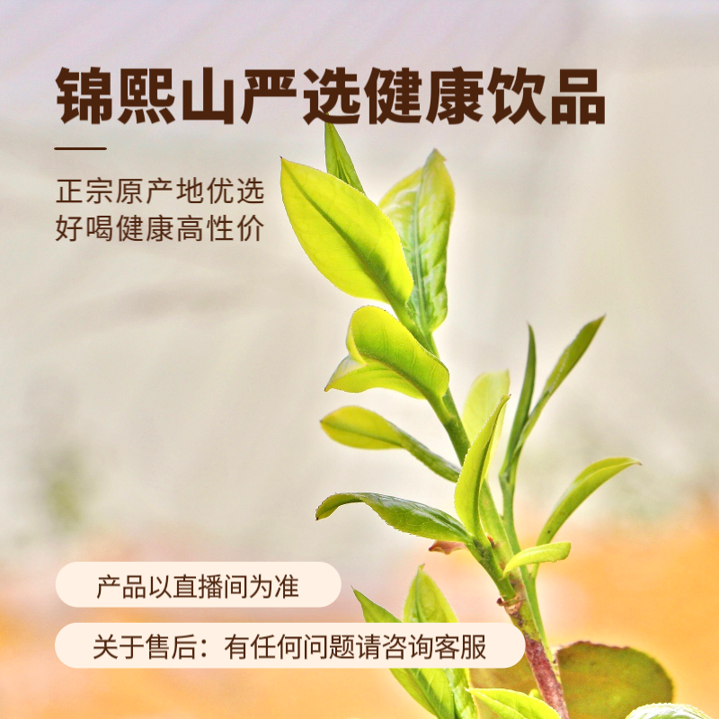 【1月4号】拍1发2 雪花柑宝 陈皮果到手两斤-产品以直播间为准