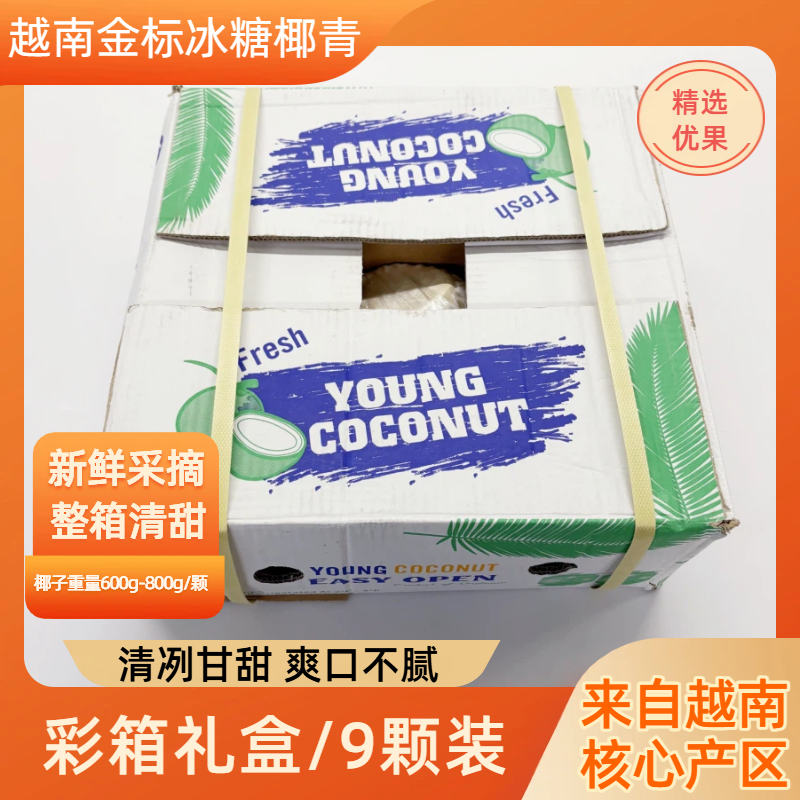 【刘椰椰专属中果】越南进口椰青 600*800g/枚 9枚/箱装 椰青整箱