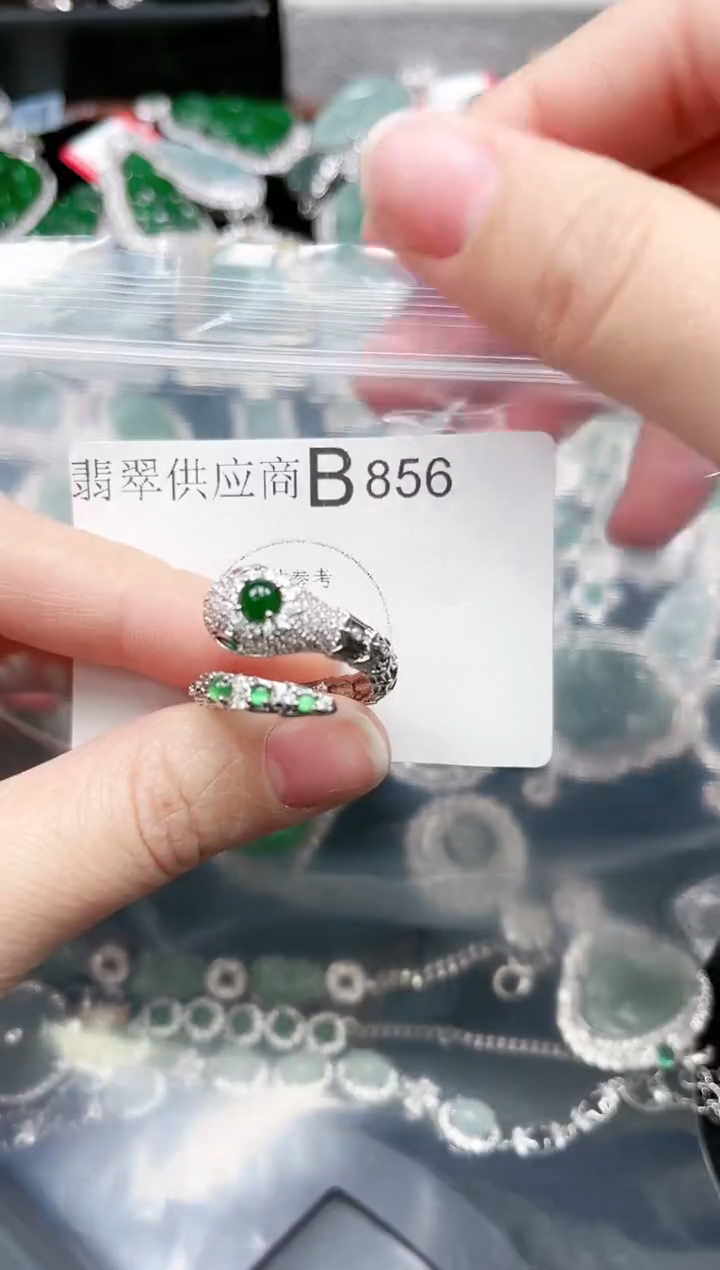 【闪购商品】翡翠颈饰未镶嵌856赠皮绳