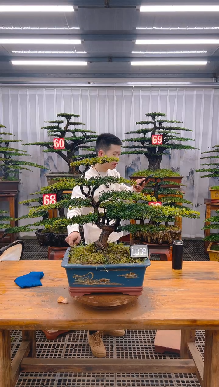 【闪购商品】紫砂精品盆景直播间一物一拍