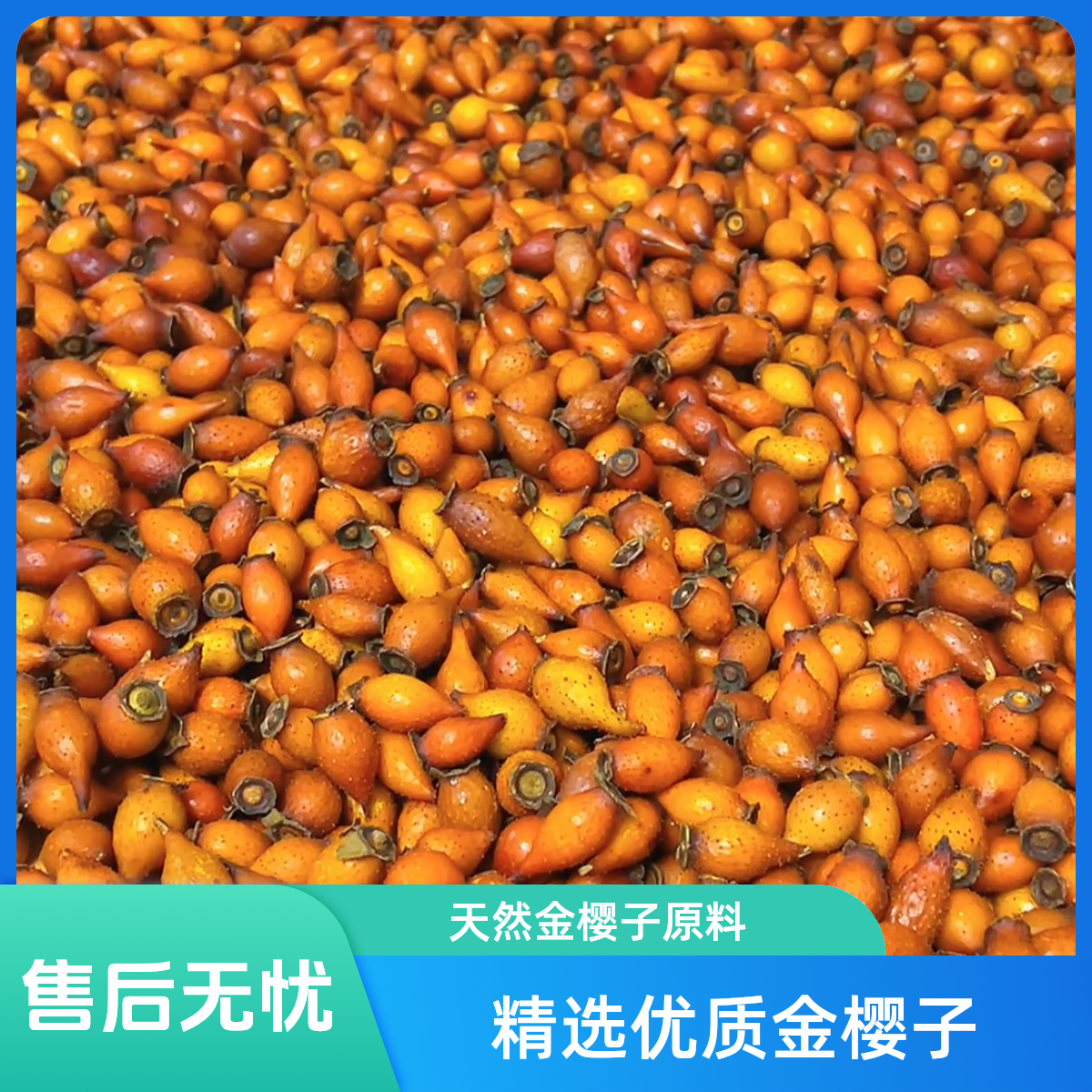 【精选金樱子】贵州特产刺梨子山石榴糖刺果刺橄榄蜂糖罐1斤起