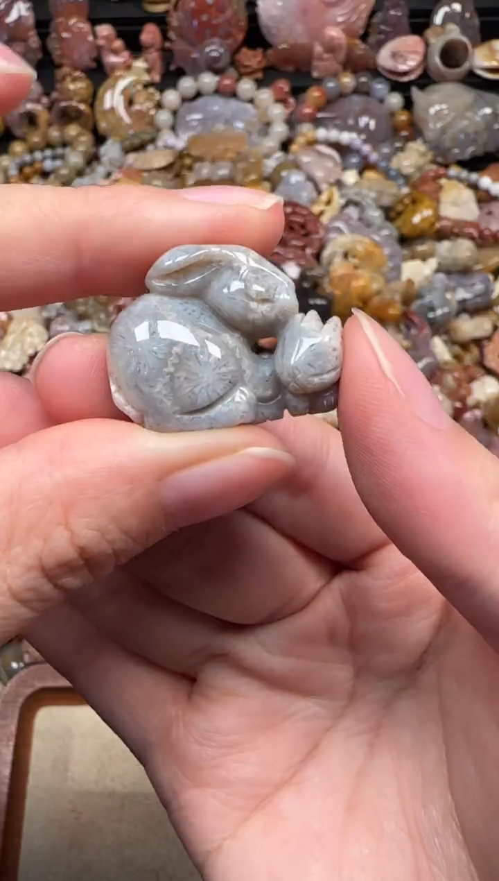 颈饰未镶嵌硅化珊瑚（珊瑚玉）279