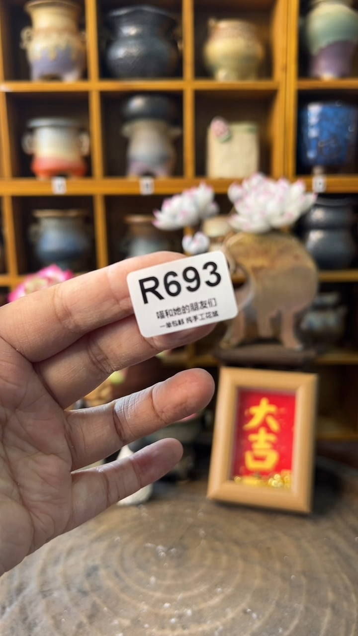 s***e693【多肉花盆多肉盆】