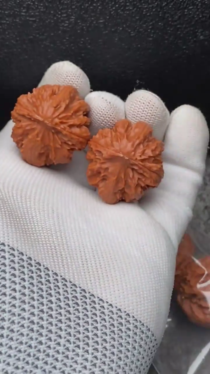 【闪购商品】文玩核桃把件粗筋霸王龙66