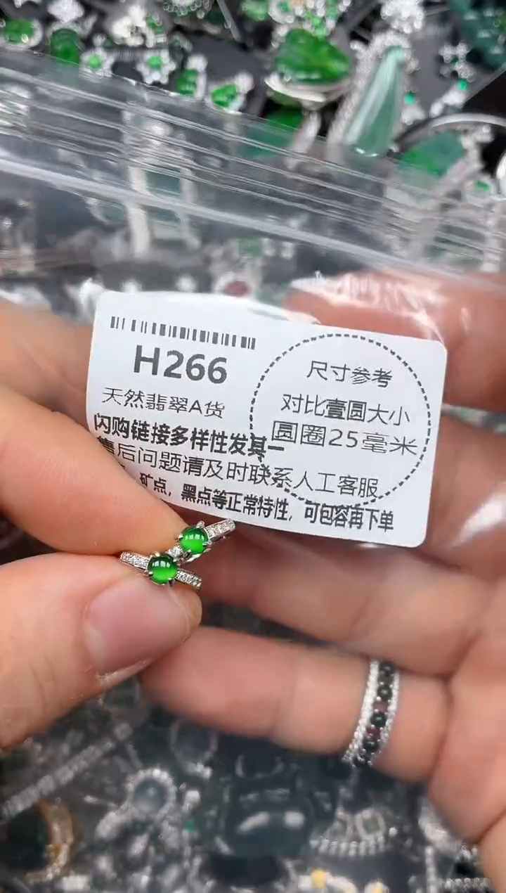 颈饰未镶嵌翡翠H266耳扣