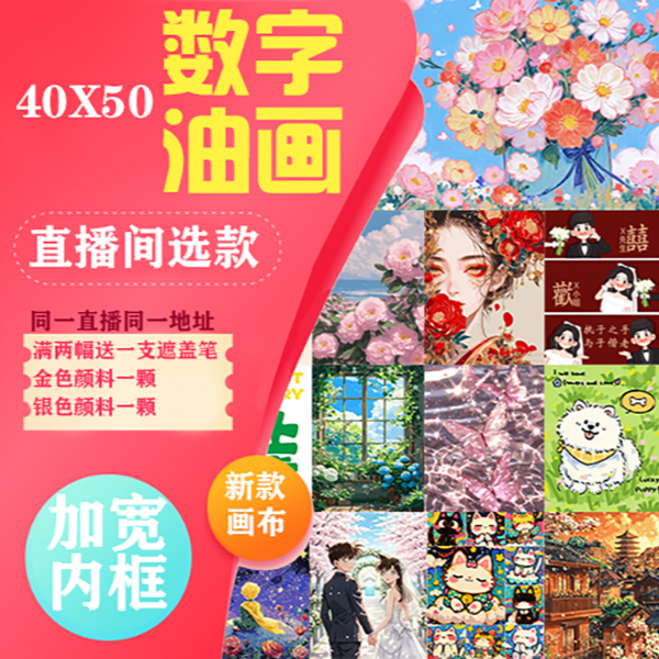 40x50数字油画diyC601-C800