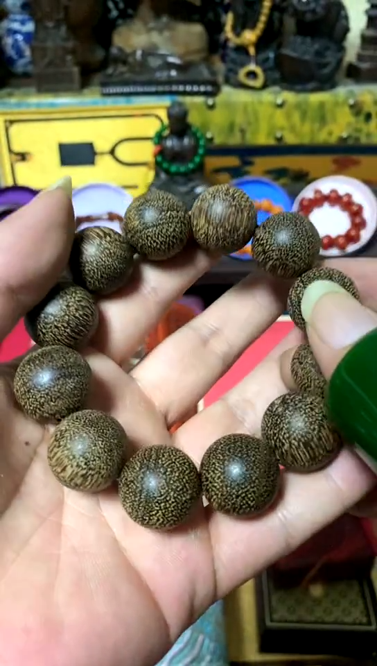 木溪世甄选藏主播推荐