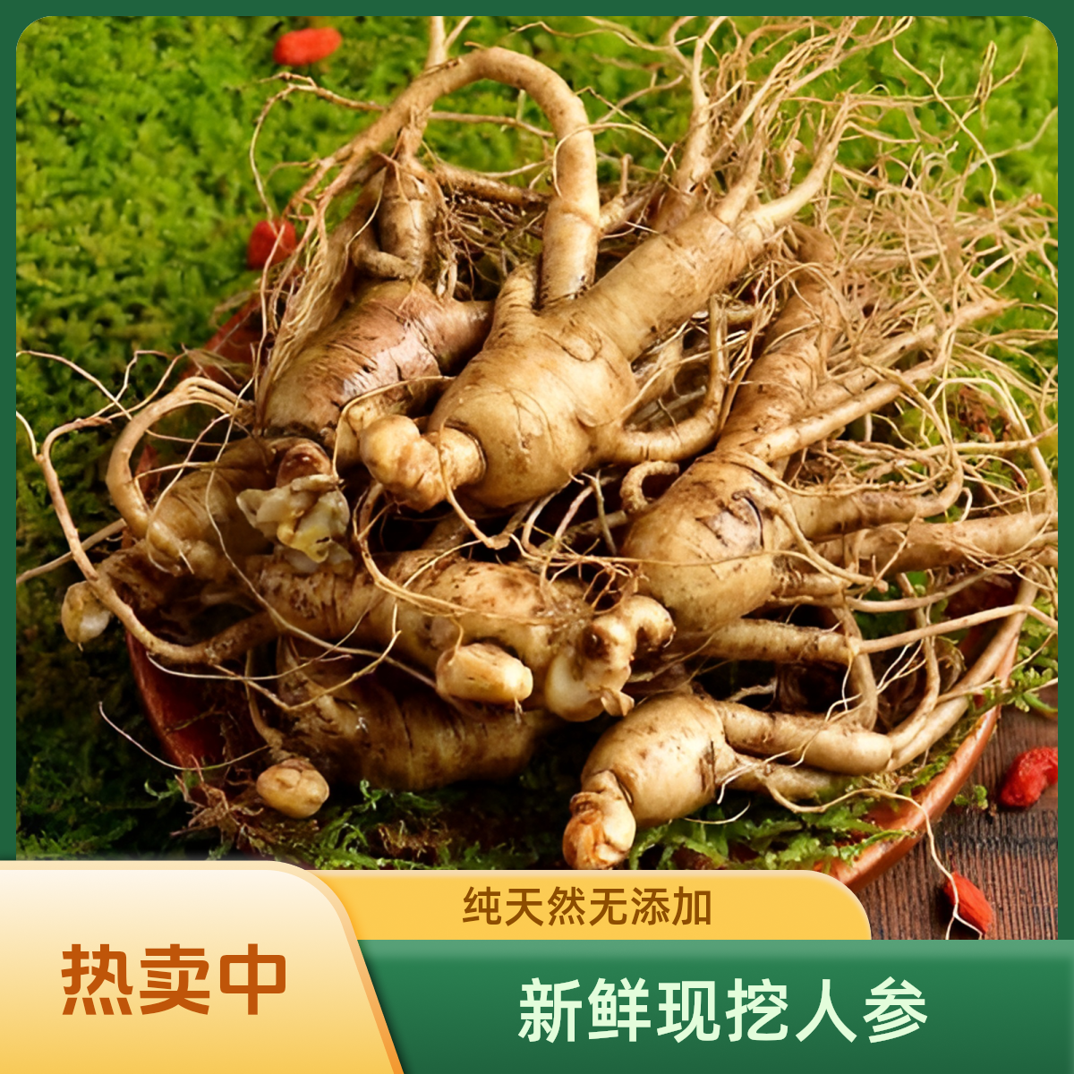 长白山现挖新鲜可煲汤泡酒家用新鲜一斤6-8支左右爪参林下池床参