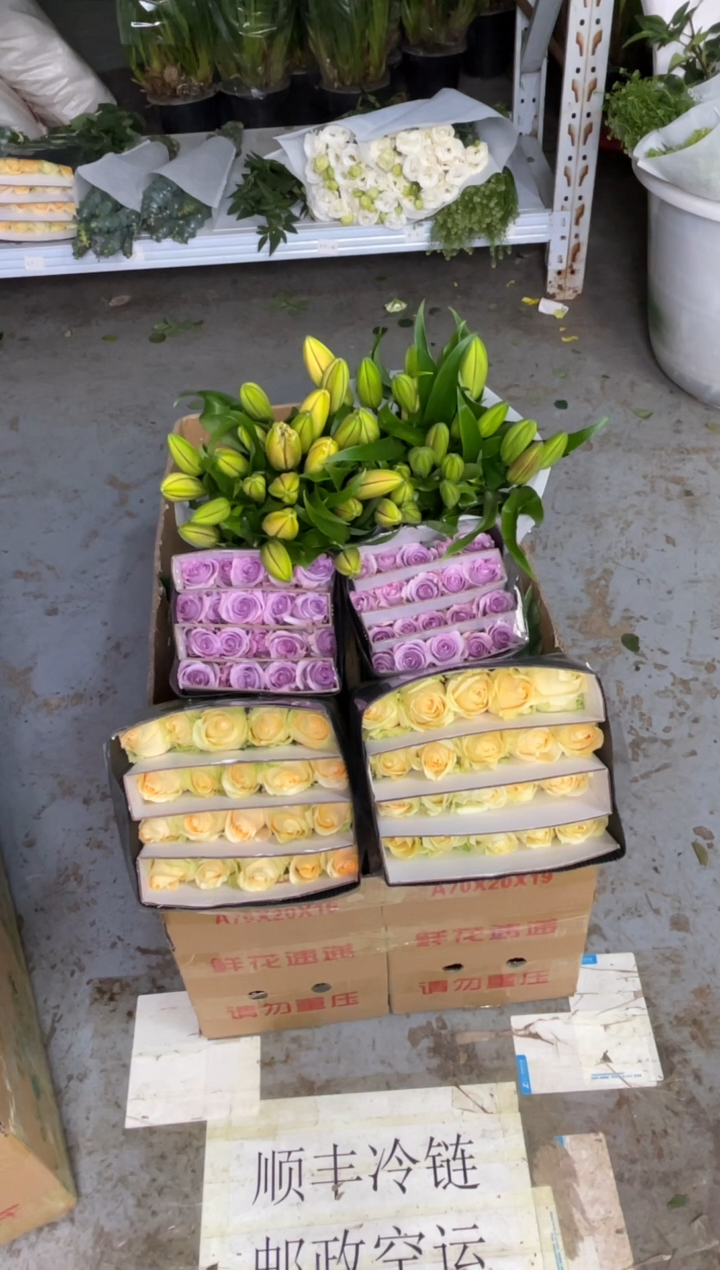 香槟20枝+海洋之歌20枝+双头亚百合10枝 