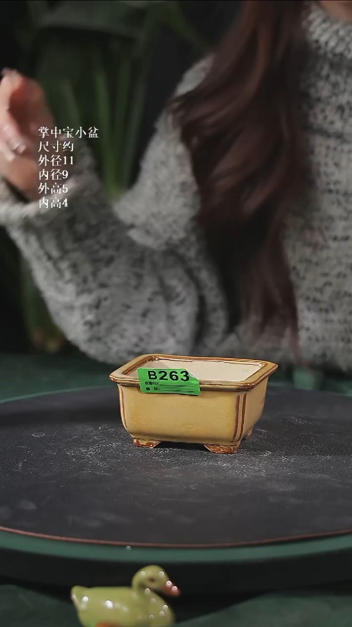 【石湾花盆】掌中宝小盆263