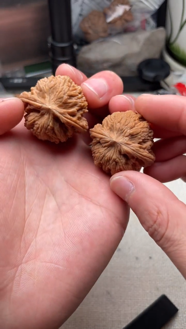 把件文玩核桃鱼****愉12014-鱼语欲与雨愉-磨盘