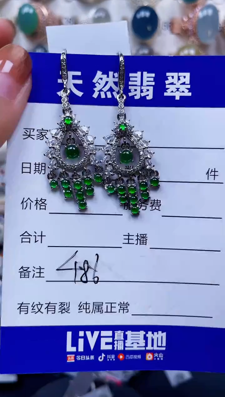 银S925镶嵌翡翠耳饰486