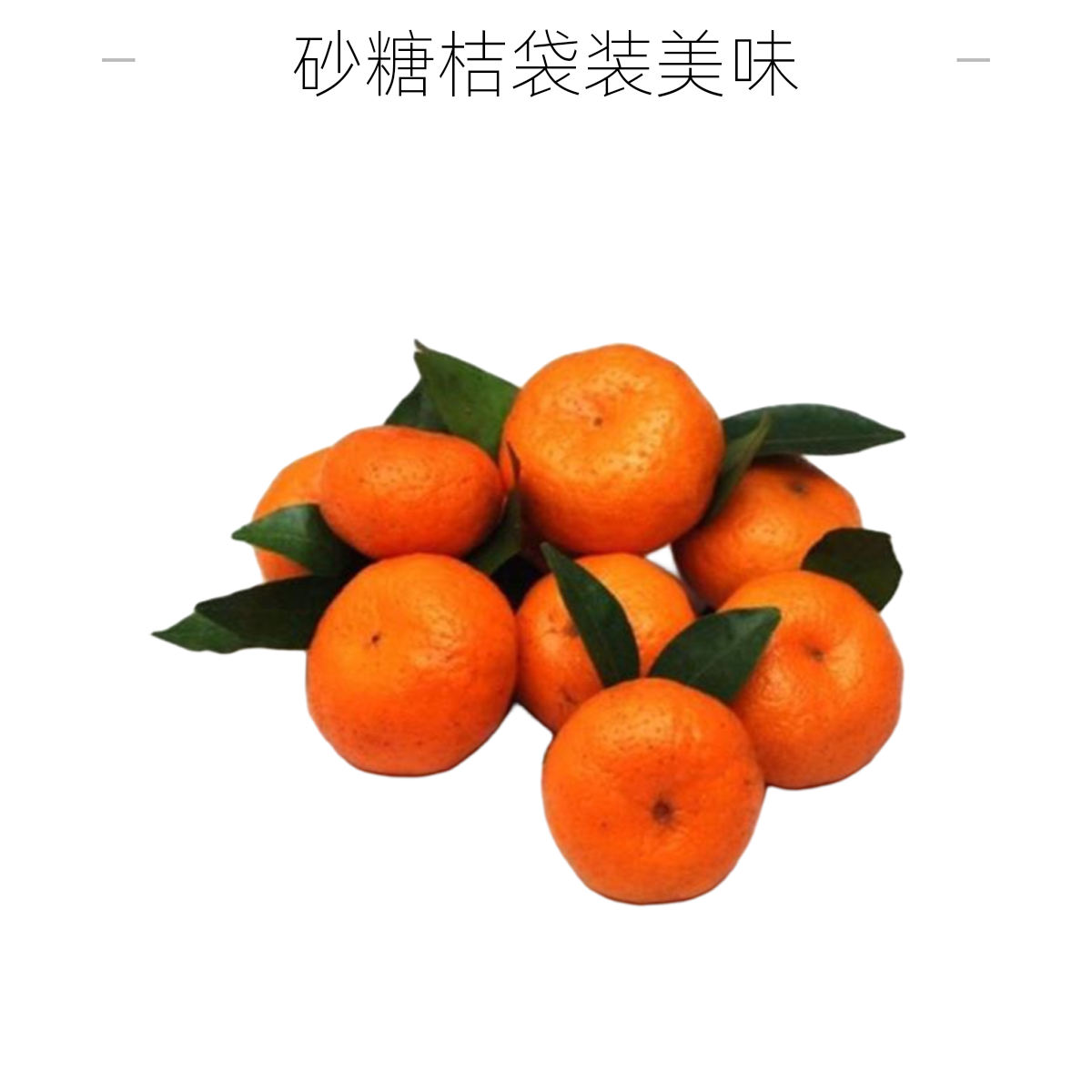 砂糖桔袋装