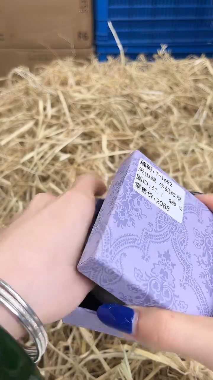 未镶嵌手镯石英质玉T-1682