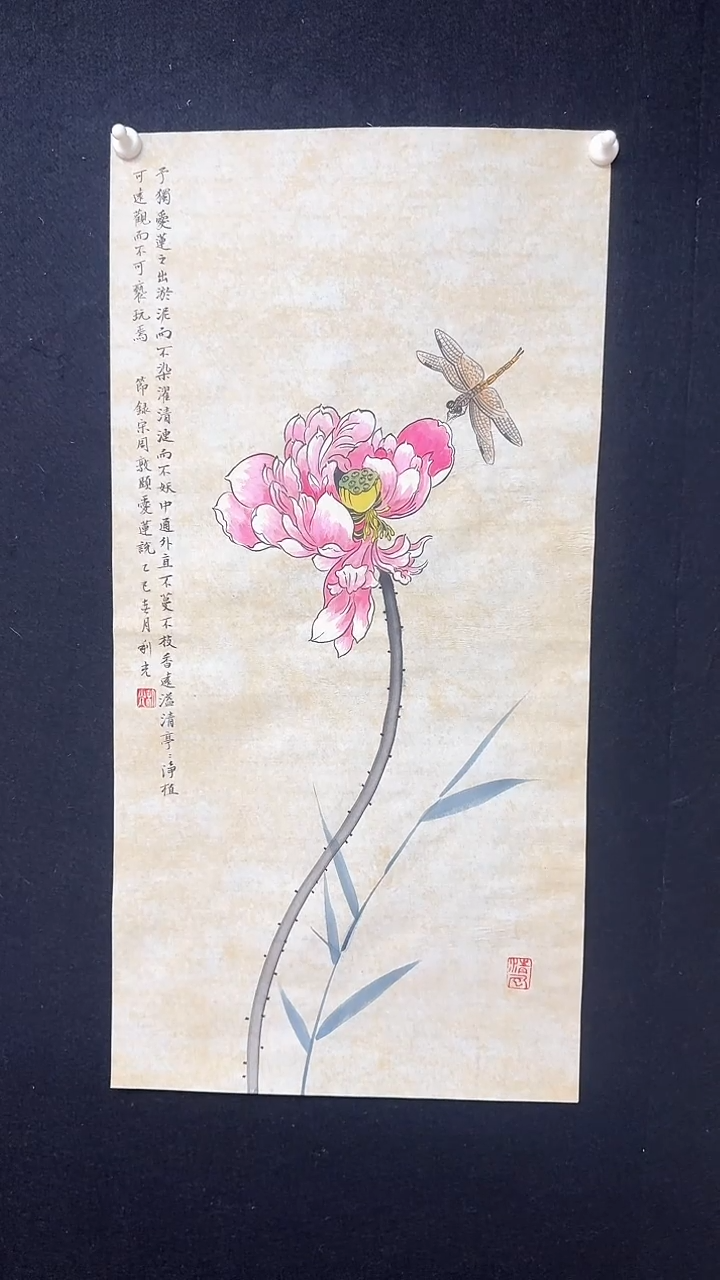 【闪购商品】国画古画莲花蜻蜓