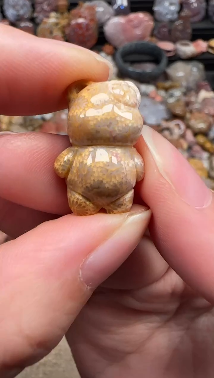 颈饰未镶嵌硅化珊瑚（珊瑚玉）231