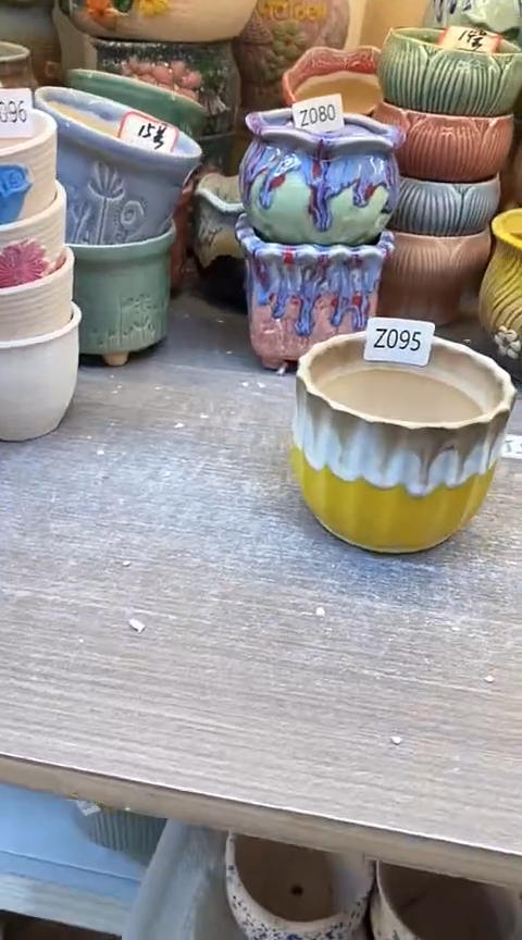 @@陶瓷多肉花盆Z095