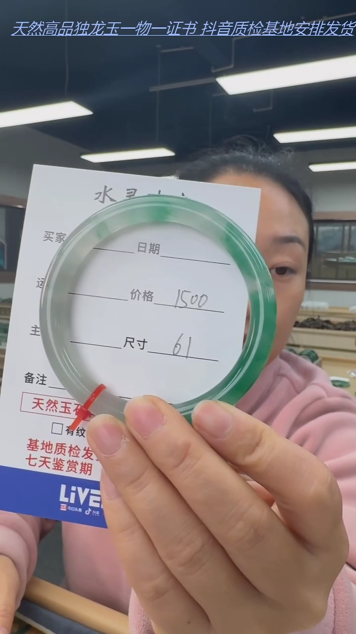 【闪购商品】石英质玉手镯未镶嵌天然独龙玉手镯圈口61