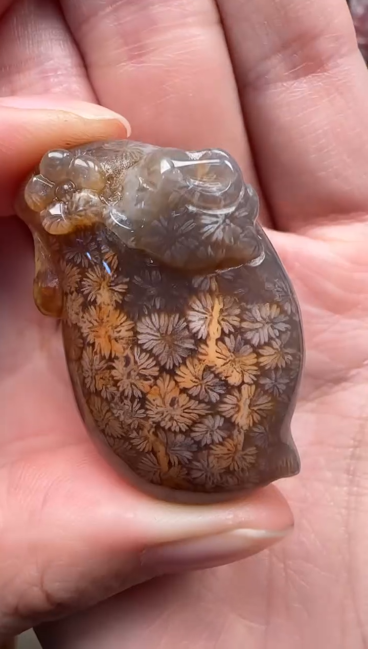 颈饰未镶嵌硅化珊瑚（珊瑚玉）387