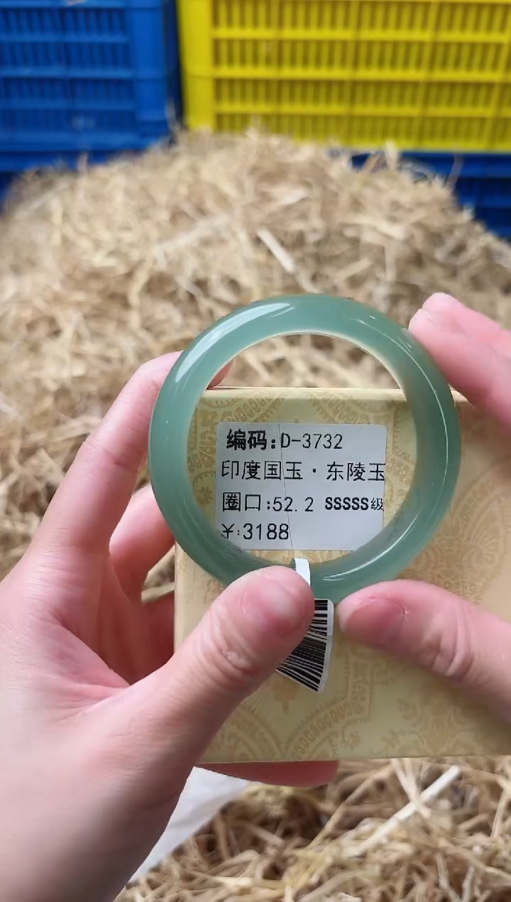 未镶嵌手镯石英质玉D-3732