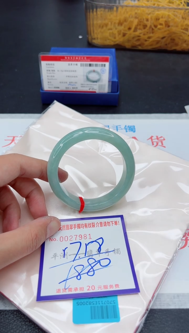 未镶嵌手镯翡翠1