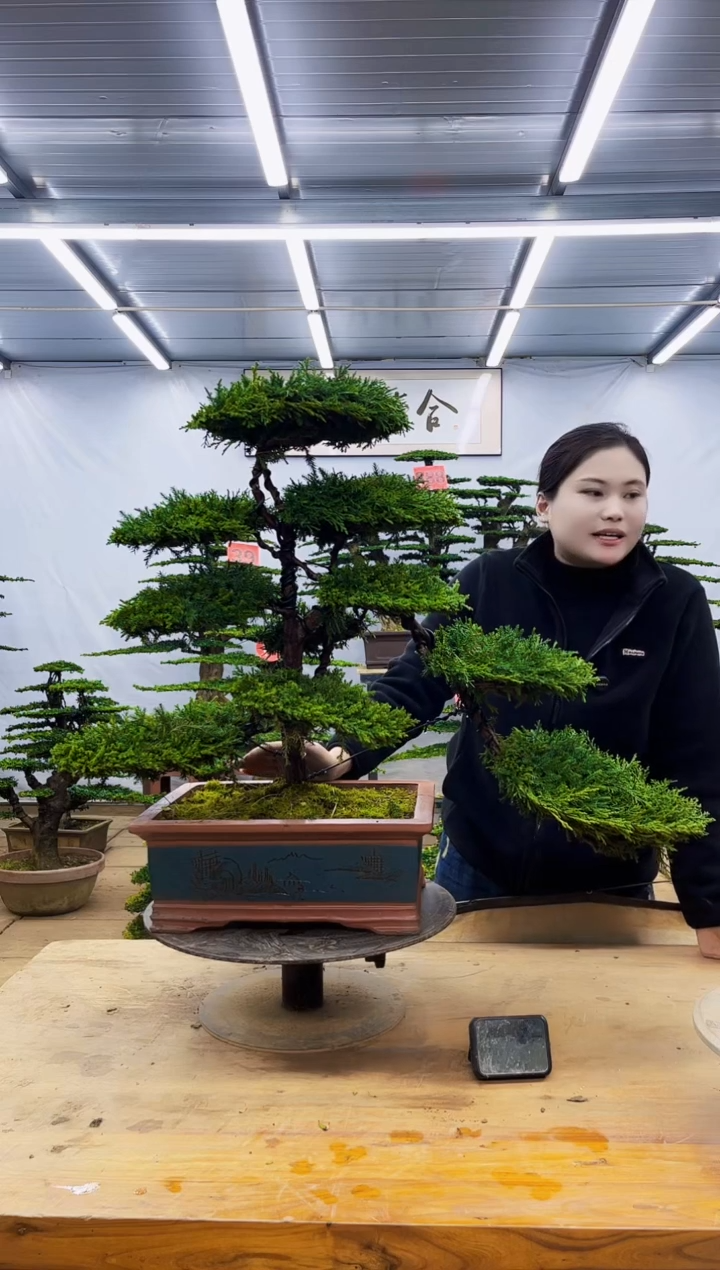 无花朵一物一拍，所见即所得