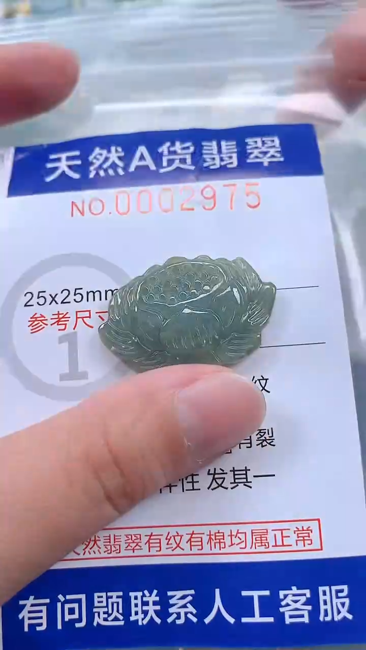 翡翠未镶嵌吊坠(不含链)1