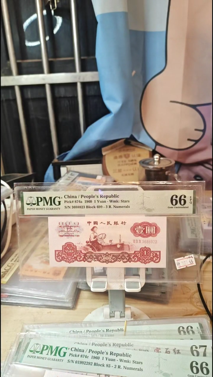 纤维丝一品红66分无47！！！！