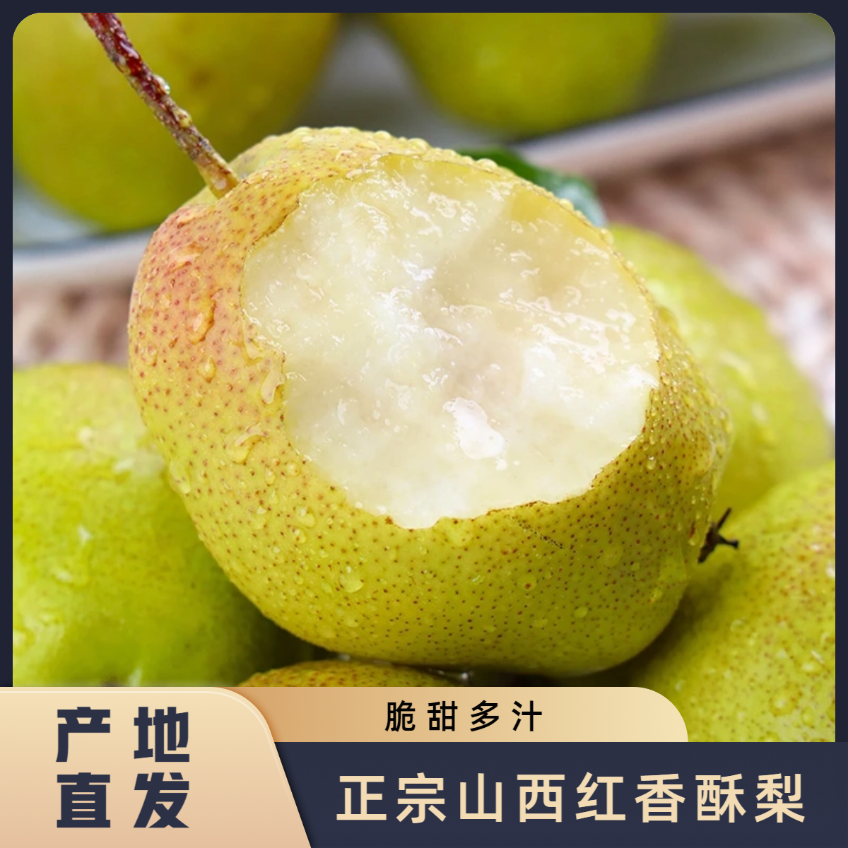 【果园直发】红香酥梨正宗香梨应季新鲜梨子现摘脆甜皮薄酥梨整箱B